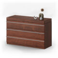 VANI_-_Dresser_1
